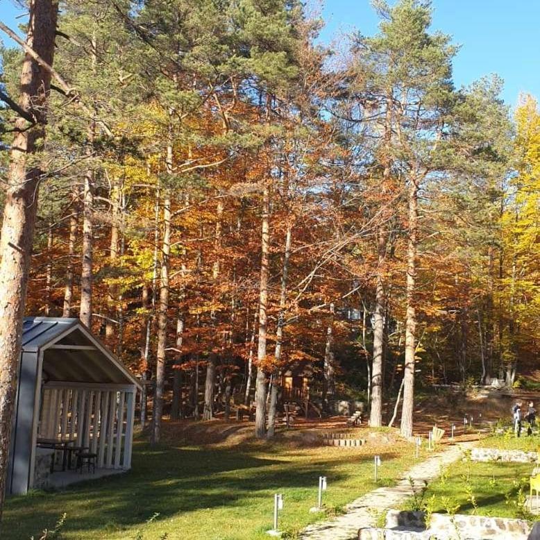 Apartman Divcigora Sokic Divčibare المظهر الخارجي الصورة